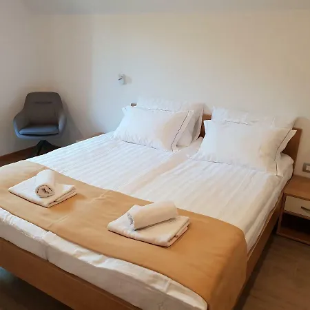 Apartments Vila Darja Bohinj Exterior photo