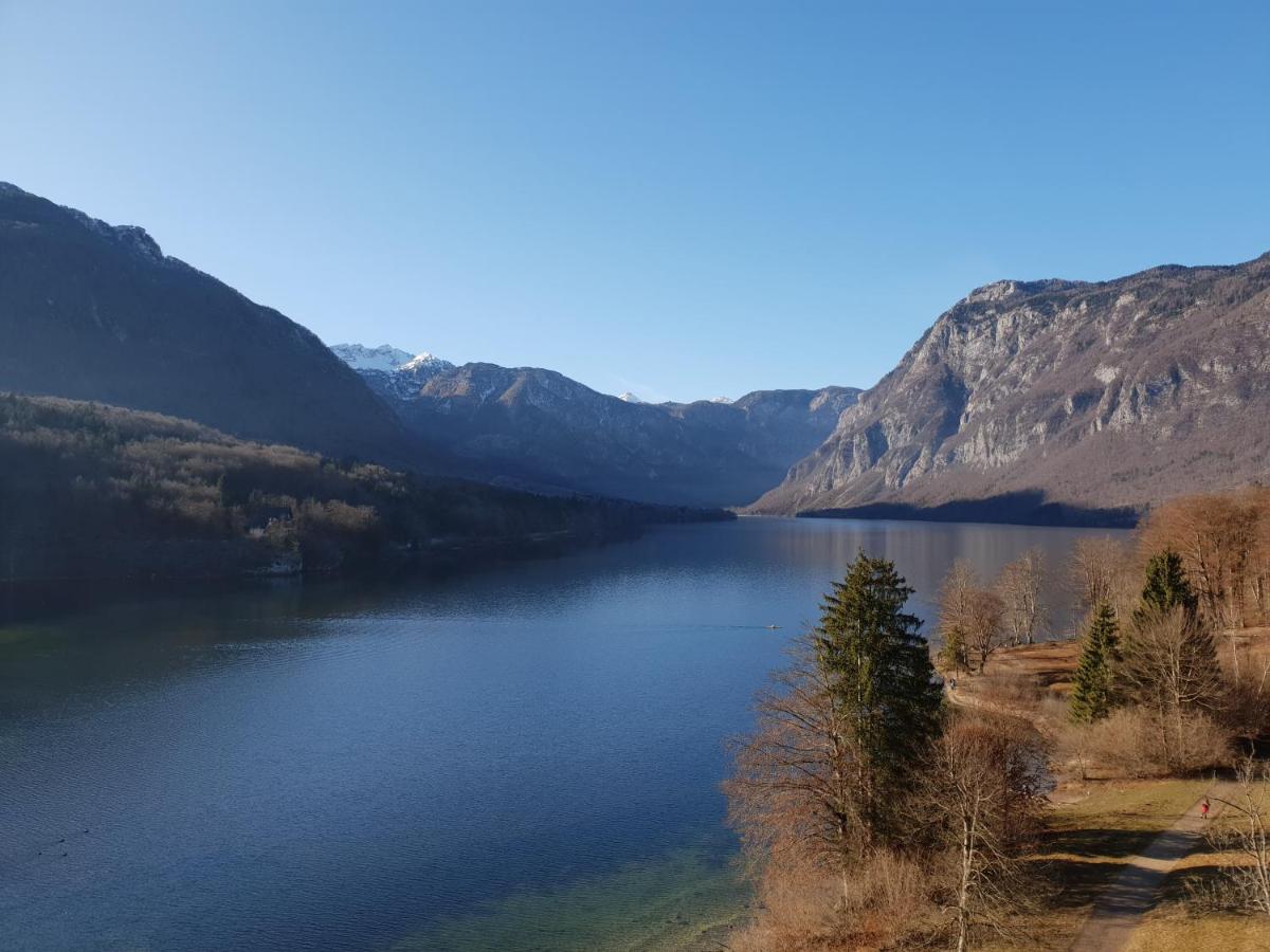 Darja