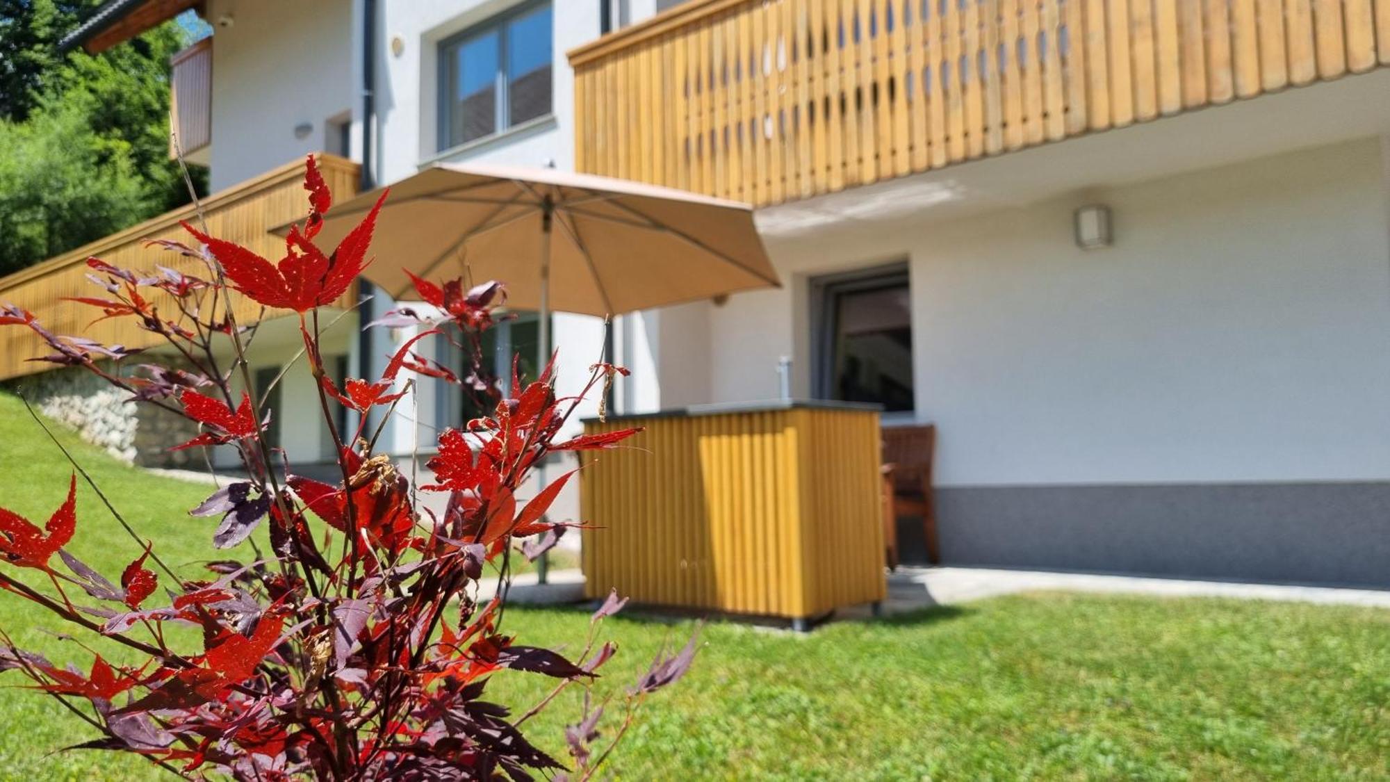 Darja Apartment *